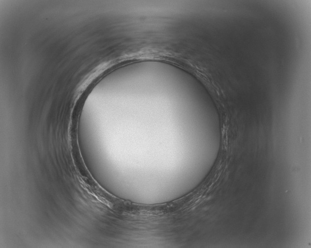 X0000077380292200610201050