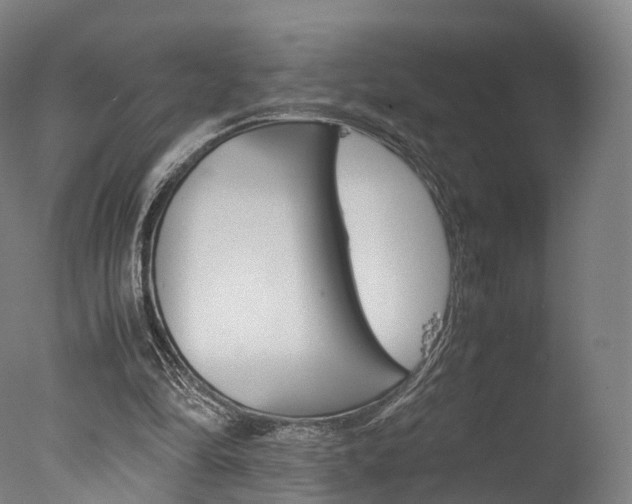 X0000077380294200610201050