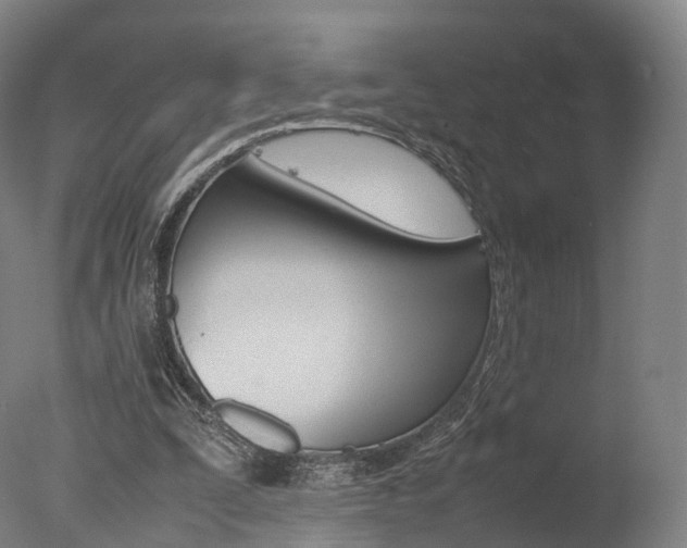 X0000077380295200610201050