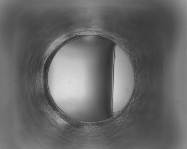 X0000077380296200610201050