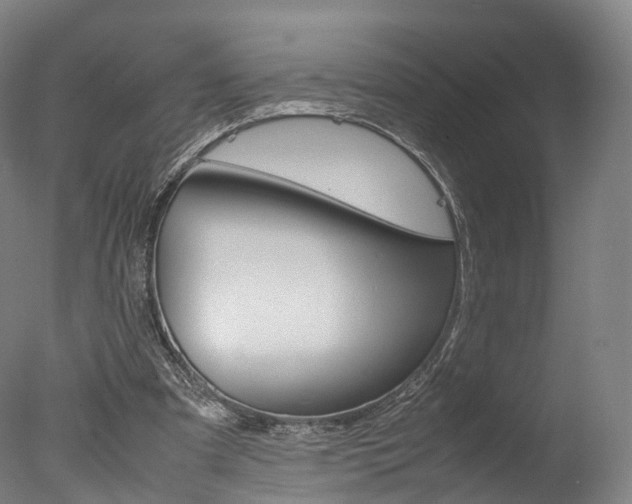 X0000077380297200610201050