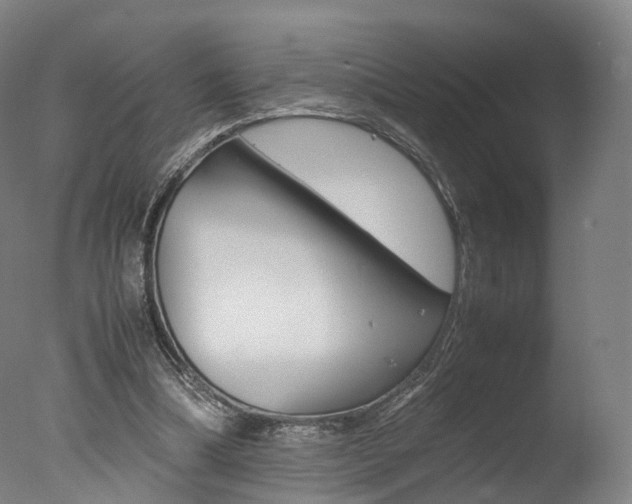 X0000077380298200610201050