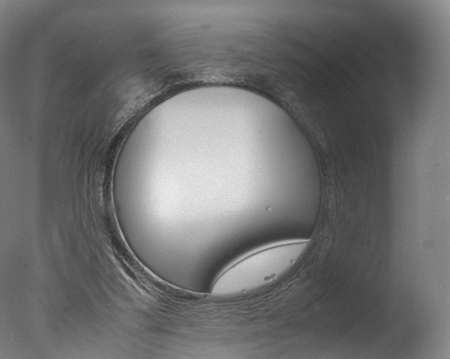 X0000077380299200610201050