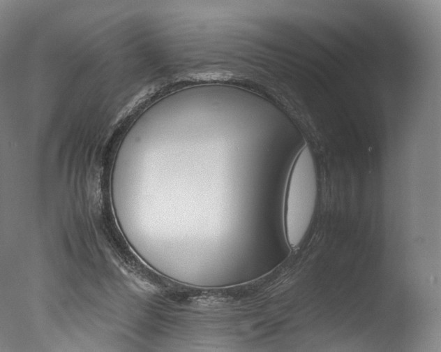 X0000077380300200610201050