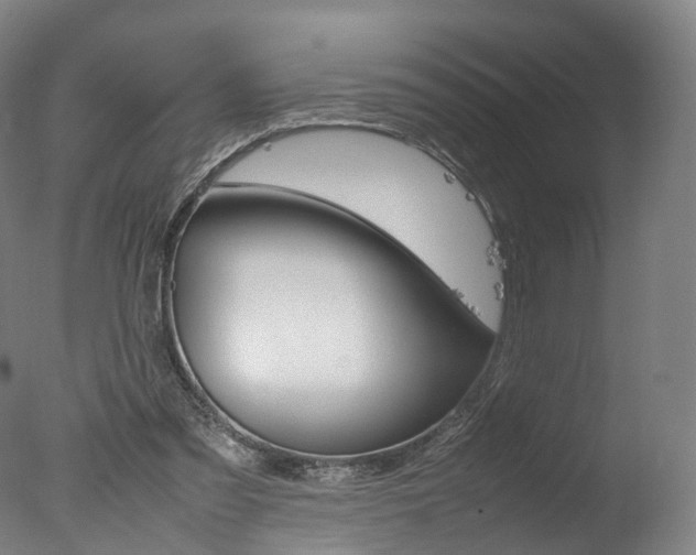 X0000077380301200610201050