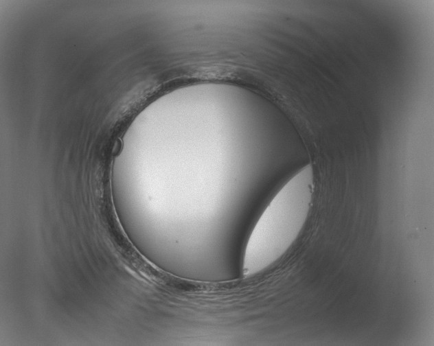X0000077380303200610201050