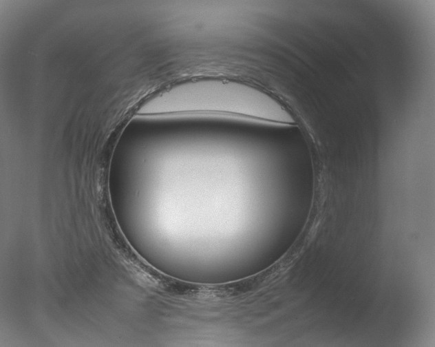 X0000077380305200610201050