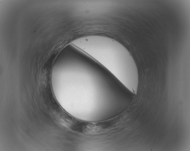 X0000077380311200610201049