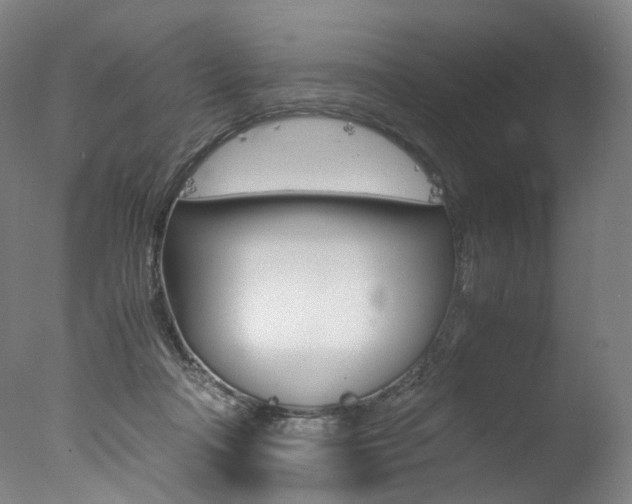 X0000077380314200610201049