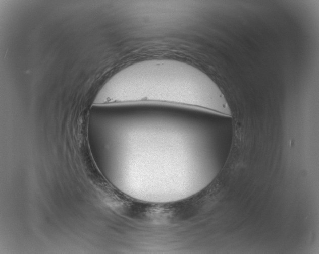 X0000077380319200610201049