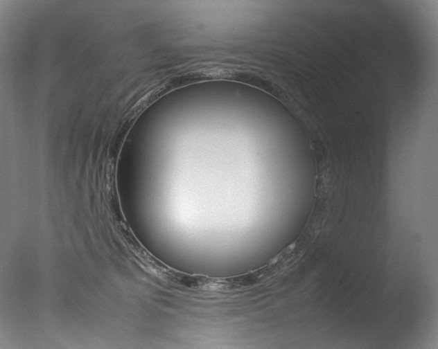 X0000077380325200610201049