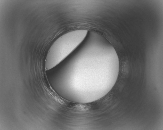 X0000077380326200610201049