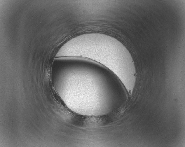 X0000077380329200610201049