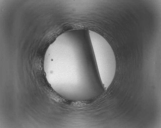 X0000077380331200610201049