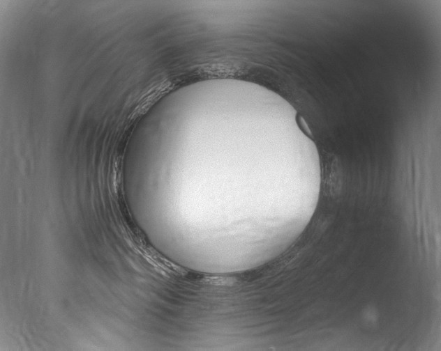 X0000077380334200610201049