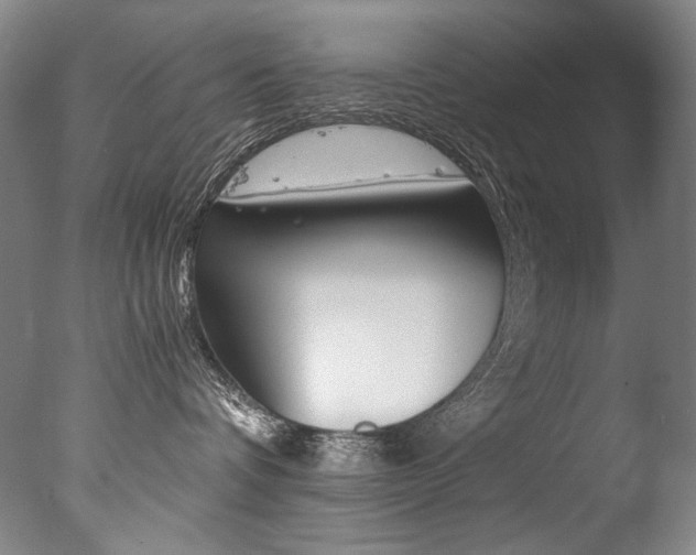 X0000077380336200610201049