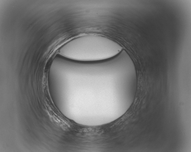 X0000077380338200610201048