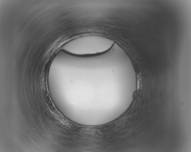 X0000077380339200610201048