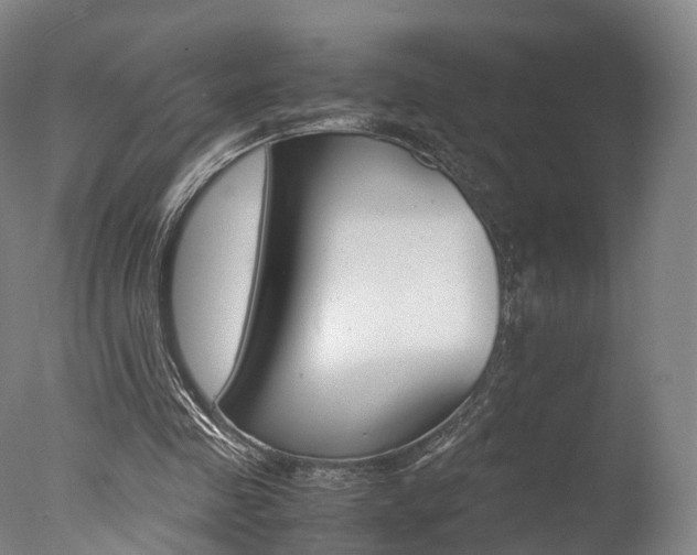 X0000077380341200610201048