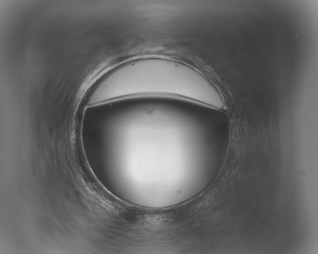 X0000077380344200610201048