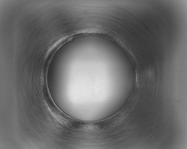 X0000077380348200610201048