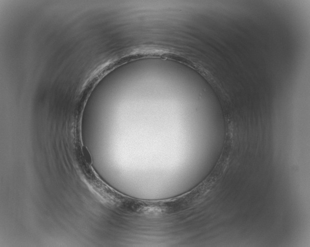 X0000077380352200610201049
