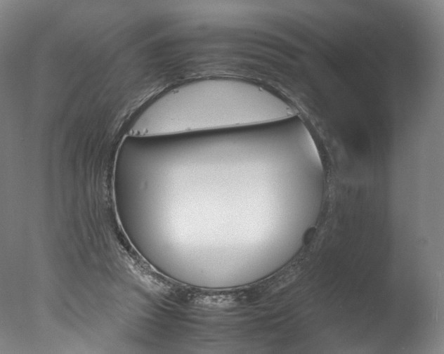 X0000077380353200610201049