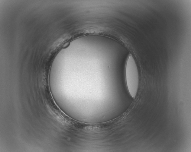 X0000077380354200610201049