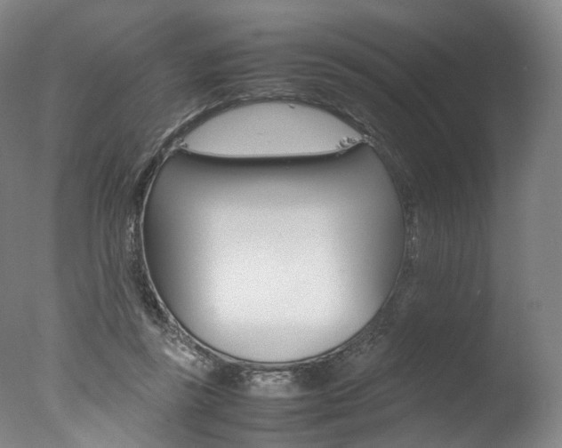 X0000077380355200610201049