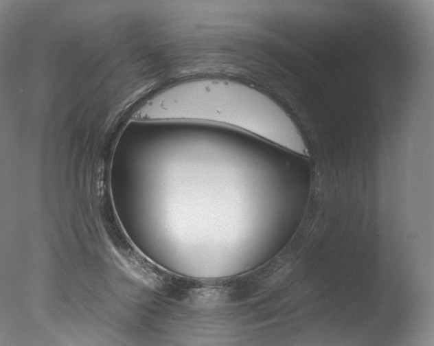 X0000077380356200610201049