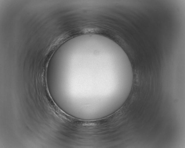 X0000077380357200610201049