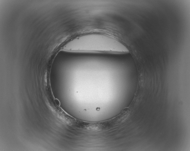 X0000077380358200610201049
