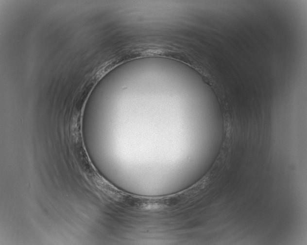 X0000077380360200610201049