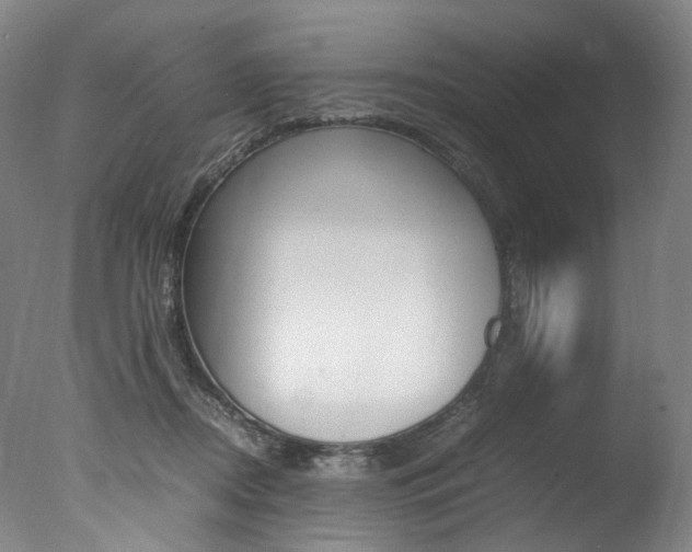 X0000077380362200610201049