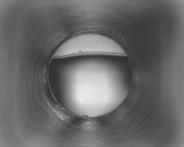 X0000077380364200610201049
