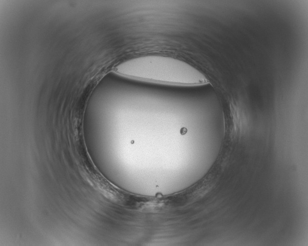 X0000077380366200610201049