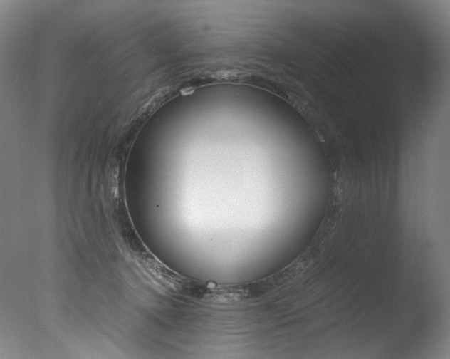 X0000077380368200610201049