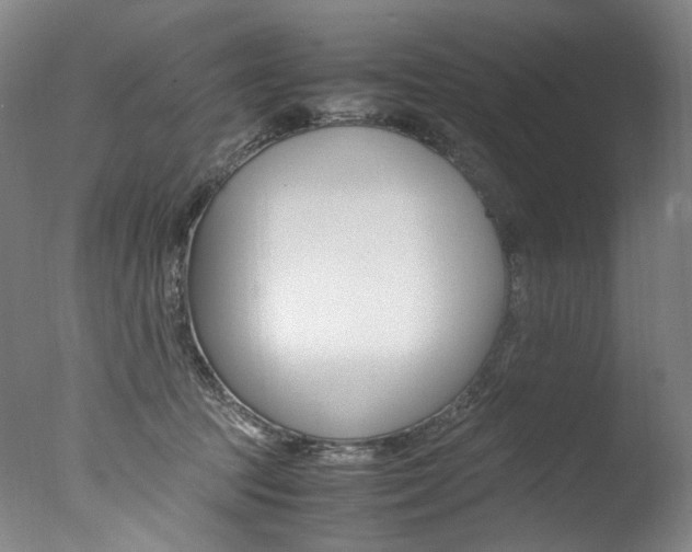 X0000077380369200610201049