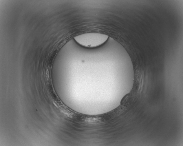 X0000077380375200610201049