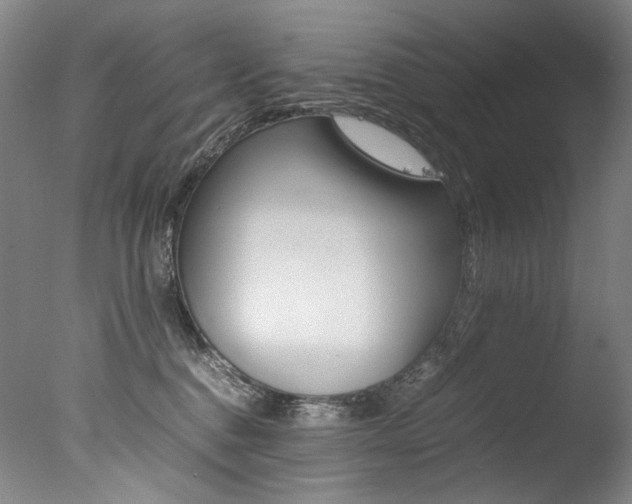 X0000077380376200610201049
