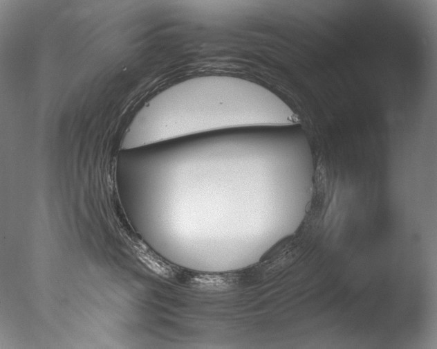 X0000077380381200610201049
