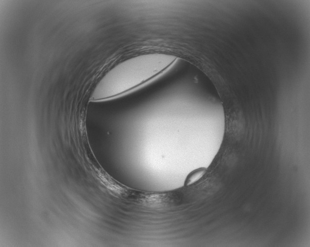 X0000077380382200610201049