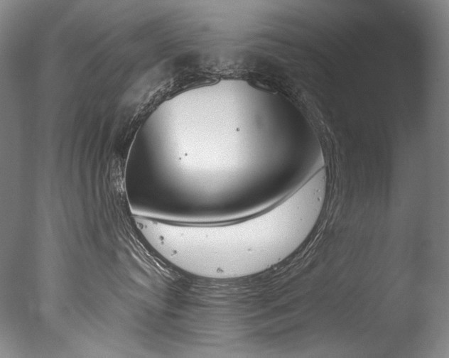 X0000077380384200610201049