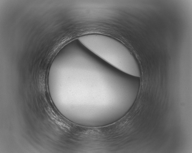 X0000077380386200610201048