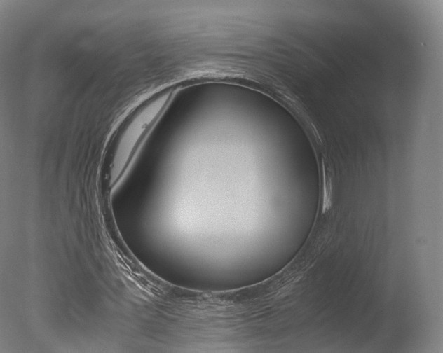 X0000077380387200610201048