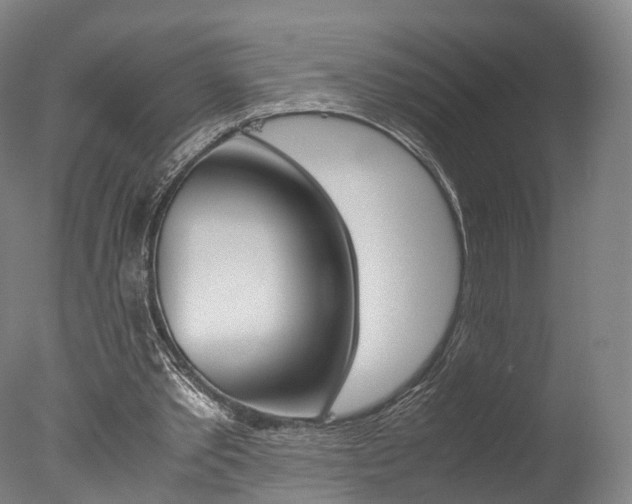 X0000077380389200610201048