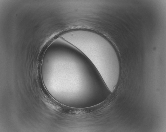X0000077380395200610201048