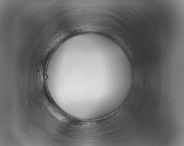 X0000077380398200610201048