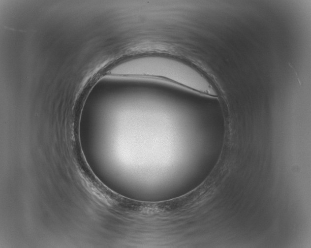 X0000077380399200610201048