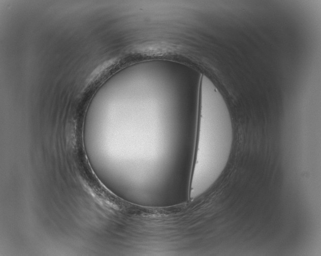 X0000077380400200610201048